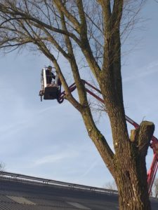 Kramers Grienwurk Hallum bomen snoeien na stormschade